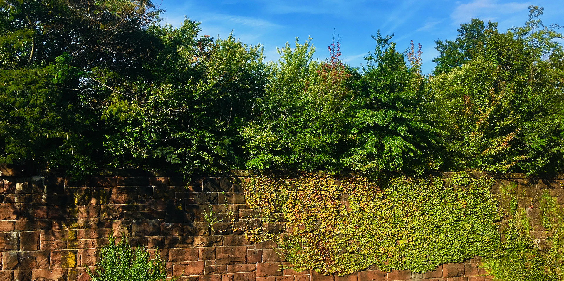 View of Embankment walls and greenery