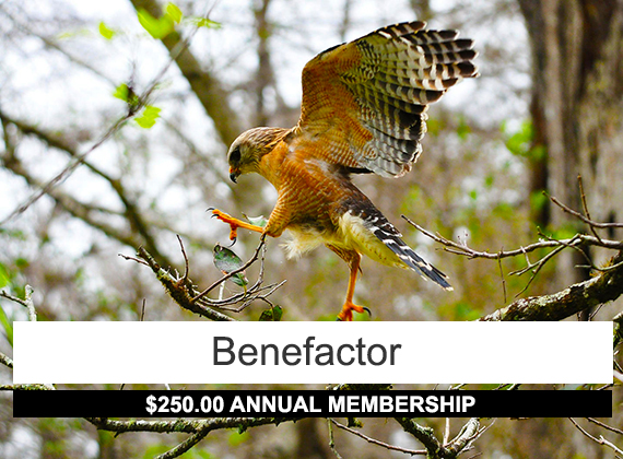 Benefactor membership: 250 annual