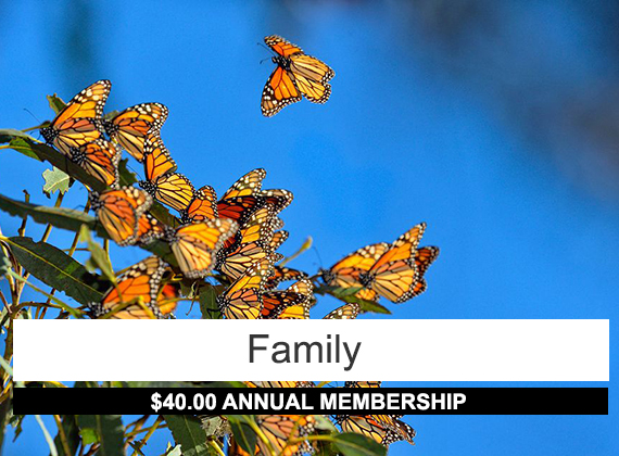 Family membership: 40 annual