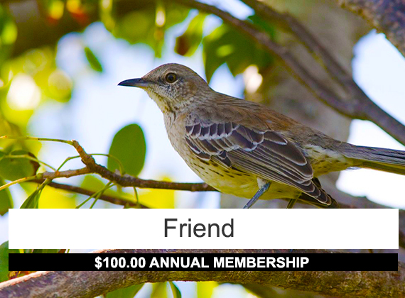 Friend membership: 100 annual